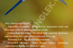 Fixed Type Sickle - 1