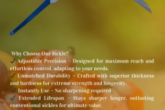 SICKLE BROCHURE FINAL - 2